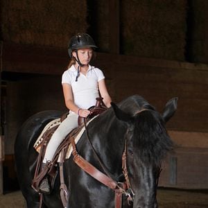 Foto Meu Melhor Amigo