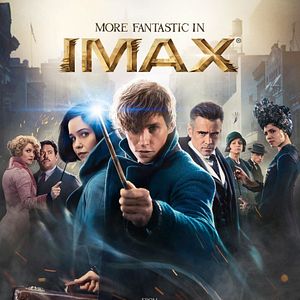 Foto Animais Fantásticos e Onde Habitam