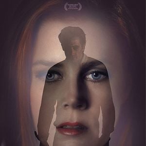 Foto Animais Noturnos