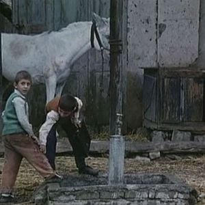 Foto Ahmed Ahmed Poor