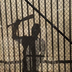 Foto The Walking Dead