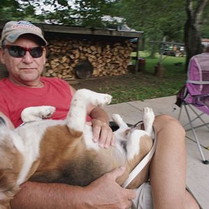 Foto Eis os Delírios do Mundo Conectado