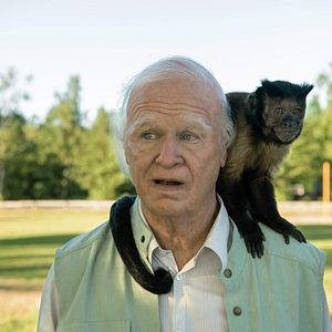 Foto Robert Gustafsson