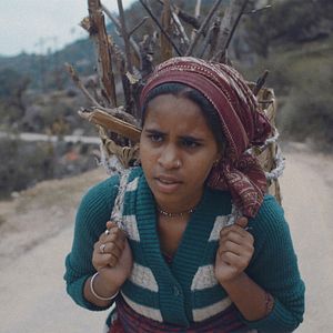 Foto Para Onde, Senhora?