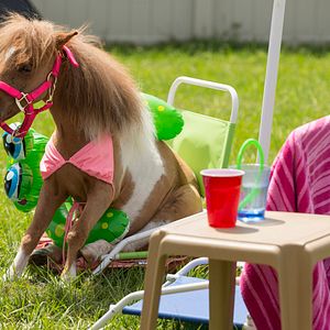 Foto Menina Dos Olhos
