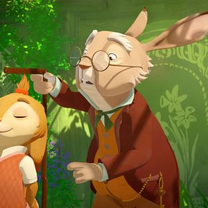 Foto Escolha de coelhos