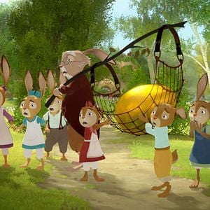 Foto Escolha de coelhos