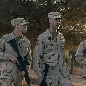 Foto Pássaros Amarelos