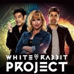 Foto Projeto Coelho Branco