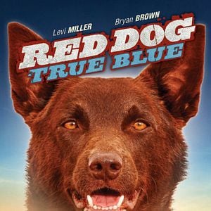 Foto Red Dog: True Blue