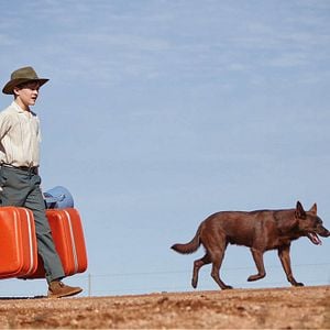 Foto Red Dog: True Blue