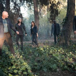 Foto Morris Chestnut