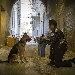 Foto Quatro Vidas de um Cachorro