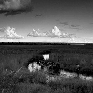 Foto Cartas da Guerra