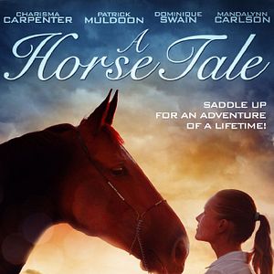 Foto Tempo De Esperança