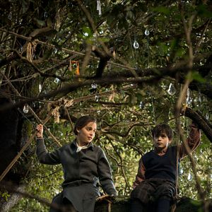 Foto Voice From the Stone