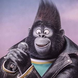 Foto Sing - Quem Canta Seus Males Espanta