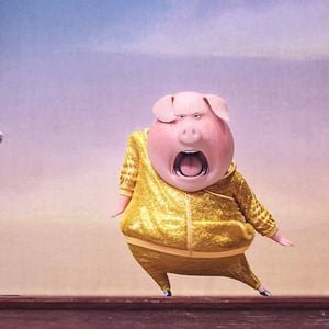 Foto Sing - Quem Canta Seus Males Espanta