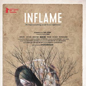 Foto Inflamar