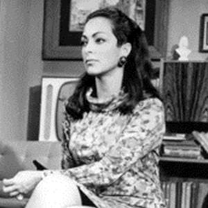 Foto Estrelas no Chão