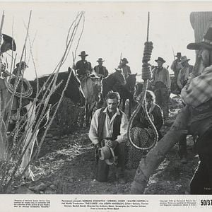 Foto Almas em Fúria