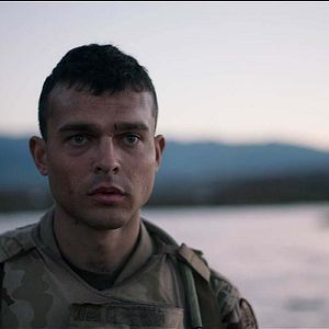 Foto Pássaros Amarelos