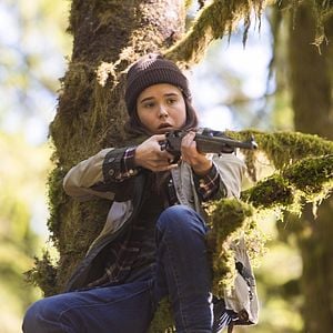 Foto Into the Forest