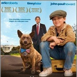 Foto Meu Querido Vira-lata