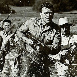 Foto Espírito Indomável