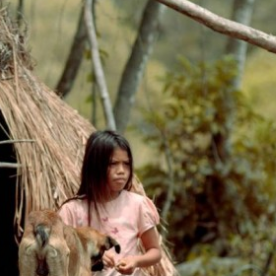 Foto Em Busca da Terra Sem Males