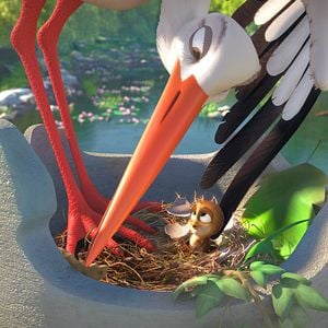 Foto Missão Cegonha