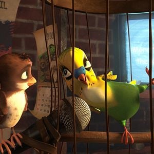 Foto Missão Cegonha