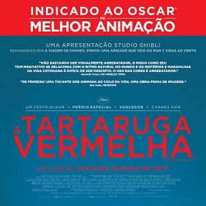 Foto A Tartaruga Vermelha