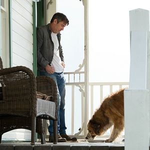 Foto Quatro Vidas de um Cachorro