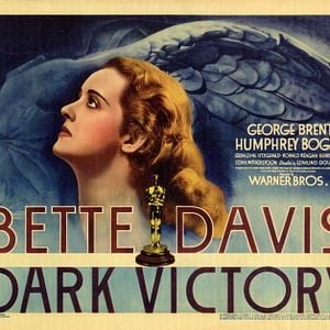 Foto Vitória Amarga