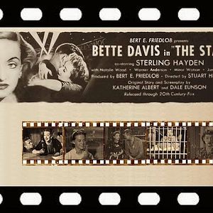 Foto Lágrimas Amargas