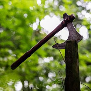 Foto Viking – Os Pergaminhos Sagrados