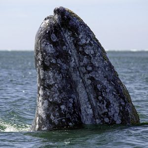 Foto Todas as Manhãs do Mundo