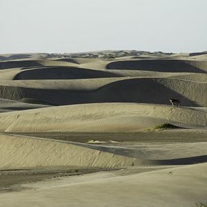 Foto Todas as Manhãs do Mundo