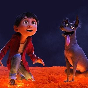 Foto Viva - A Vida é uma Festa