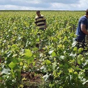 Foto Jean-Marc Roulot