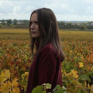 Foto De volta à Borgonha