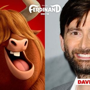 Foto O Touro Ferdinando