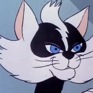 Foto Josie & As Gatinhas