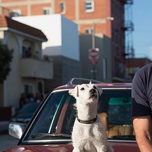 Foto Loucos e Perigosos