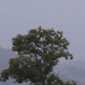 Foto A Prisão em 12 Paisagens