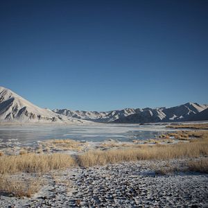Foto Uma Caçadora E Sua Águia