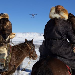 Foto Uma Caçadora E Sua Águia
