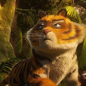 Foto Uma Floresta Muito Louca