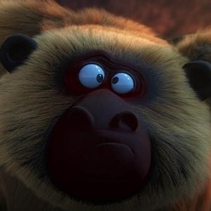 Foto Uma Floresta Muito Louca